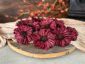 Red flowers on a wooden board with a blurred background