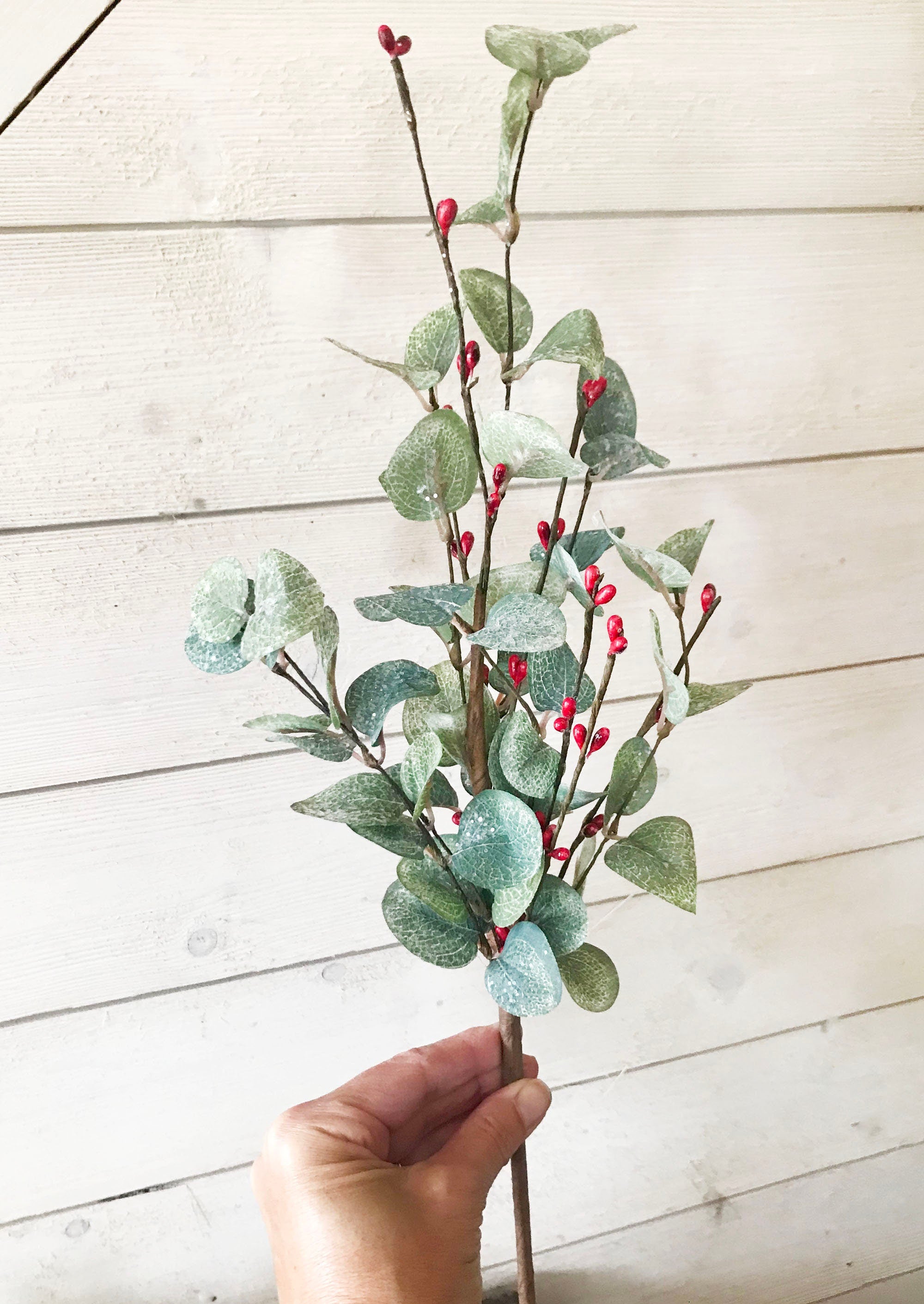 Hand holding a frosted eucalyptus spray with  green leaves and red berries on a light wooden background