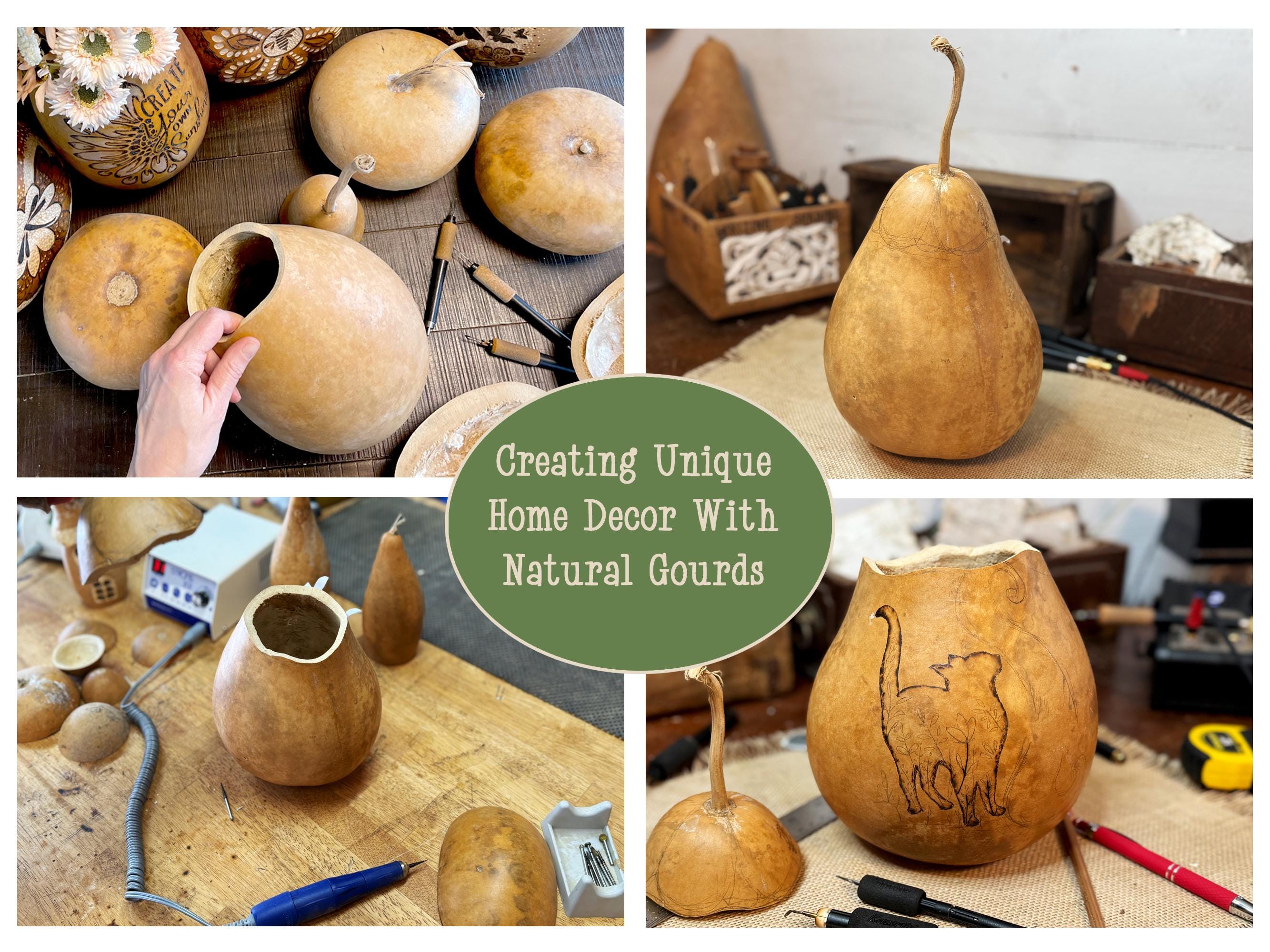 Collage of gourds being used for home decor with text 'Creating Unique Home Decor With Natural Gourds'.