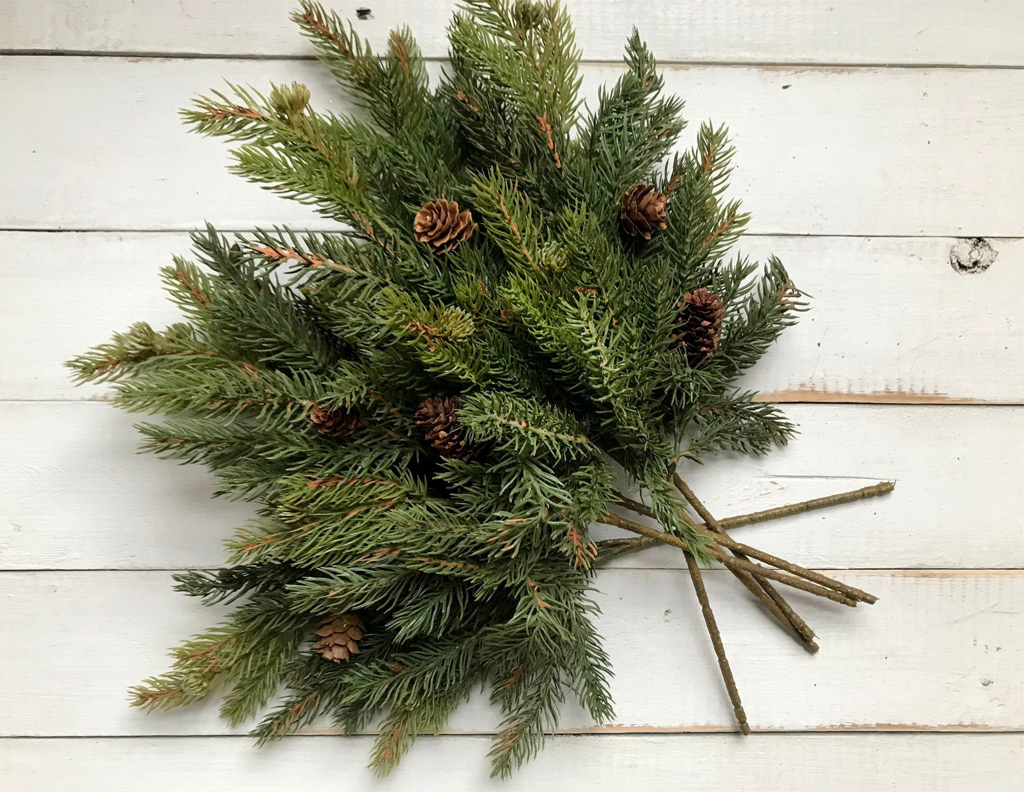 Bouquet of green pine branches with pinecones on a white wooden surface