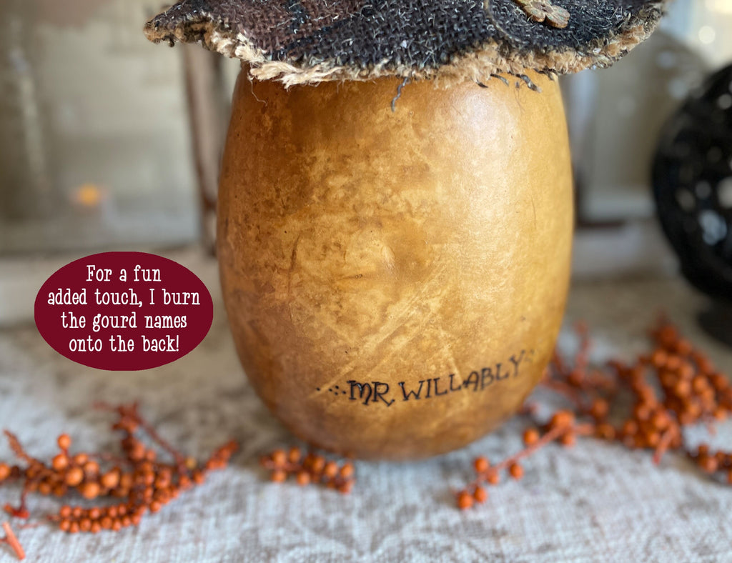 Gourd with 'Mr. Willably' branding on a textured surface with decorative elements.