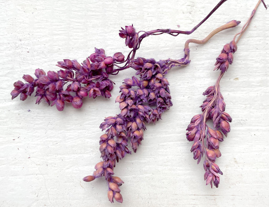Purple flowers on a textured white background