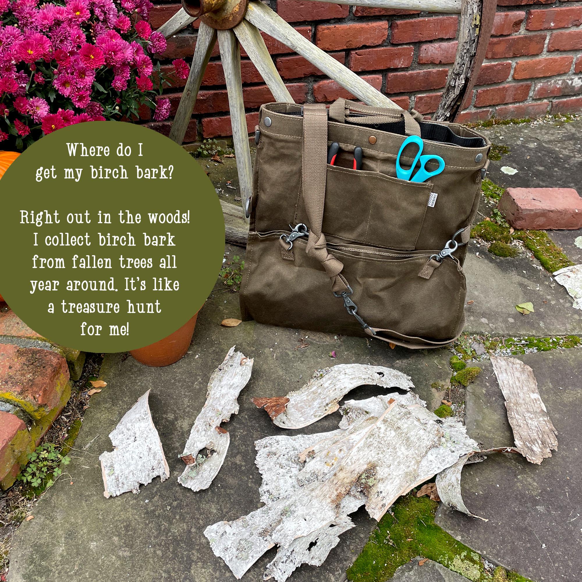 Brown bag with tools, birch bark pieces, and text about collecting birch bark.