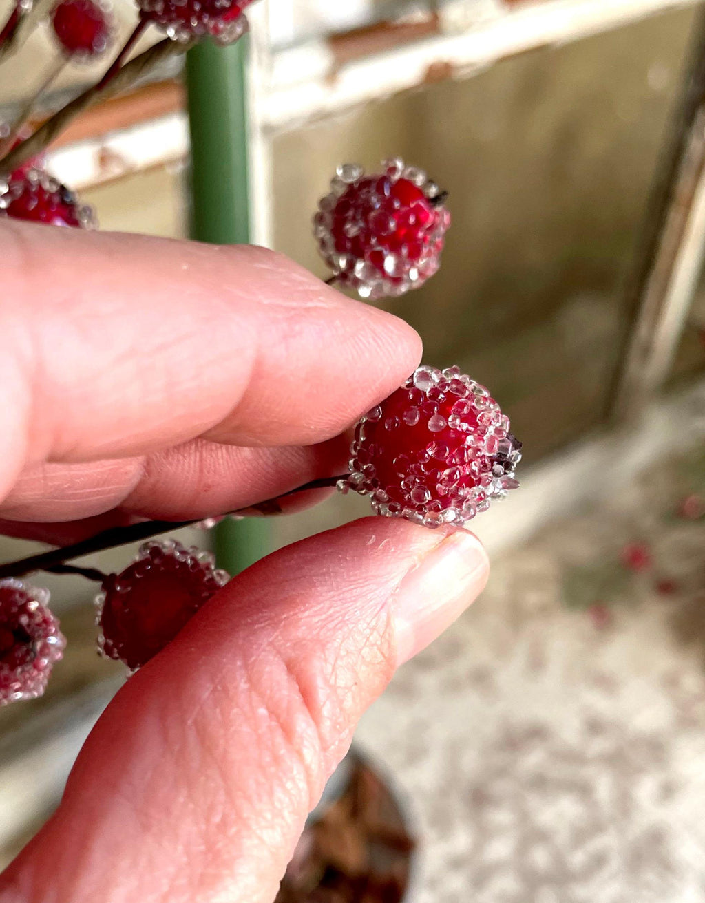 Hand holding a small red berry with a blurred background