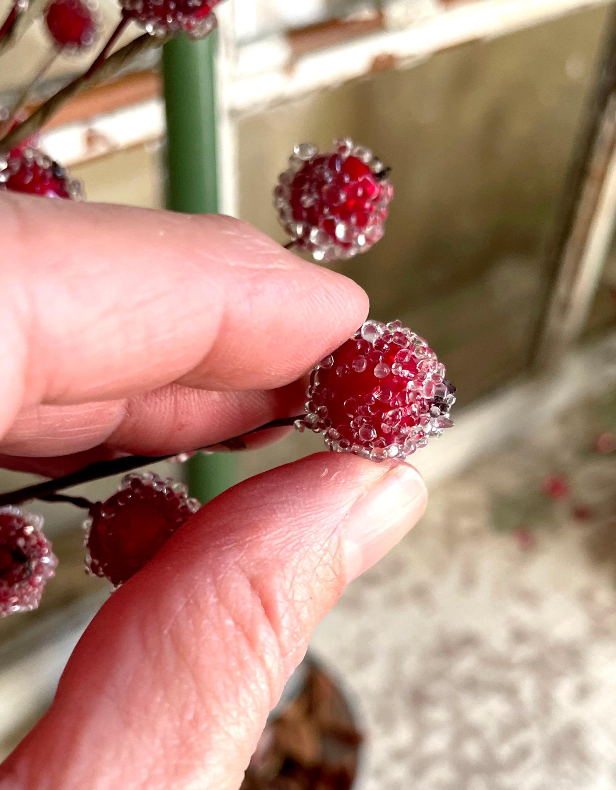 Hand holding a small red berry with a blurred background