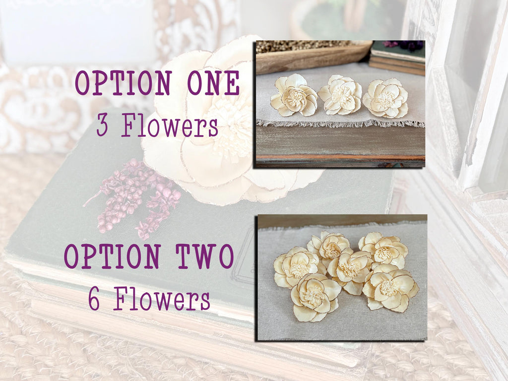 Comparison of 3 and 6 flower options on a decorative surface with text labels.