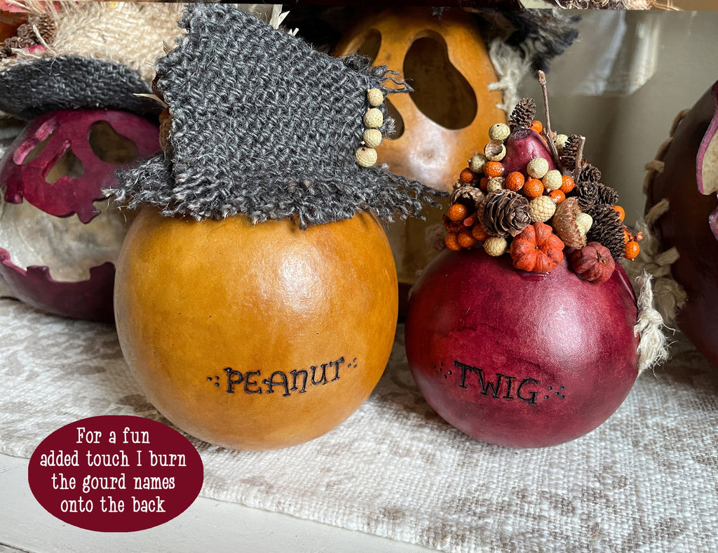 Decorative gourds with names 'Peanut' and 'Twig' on a textured surface.
