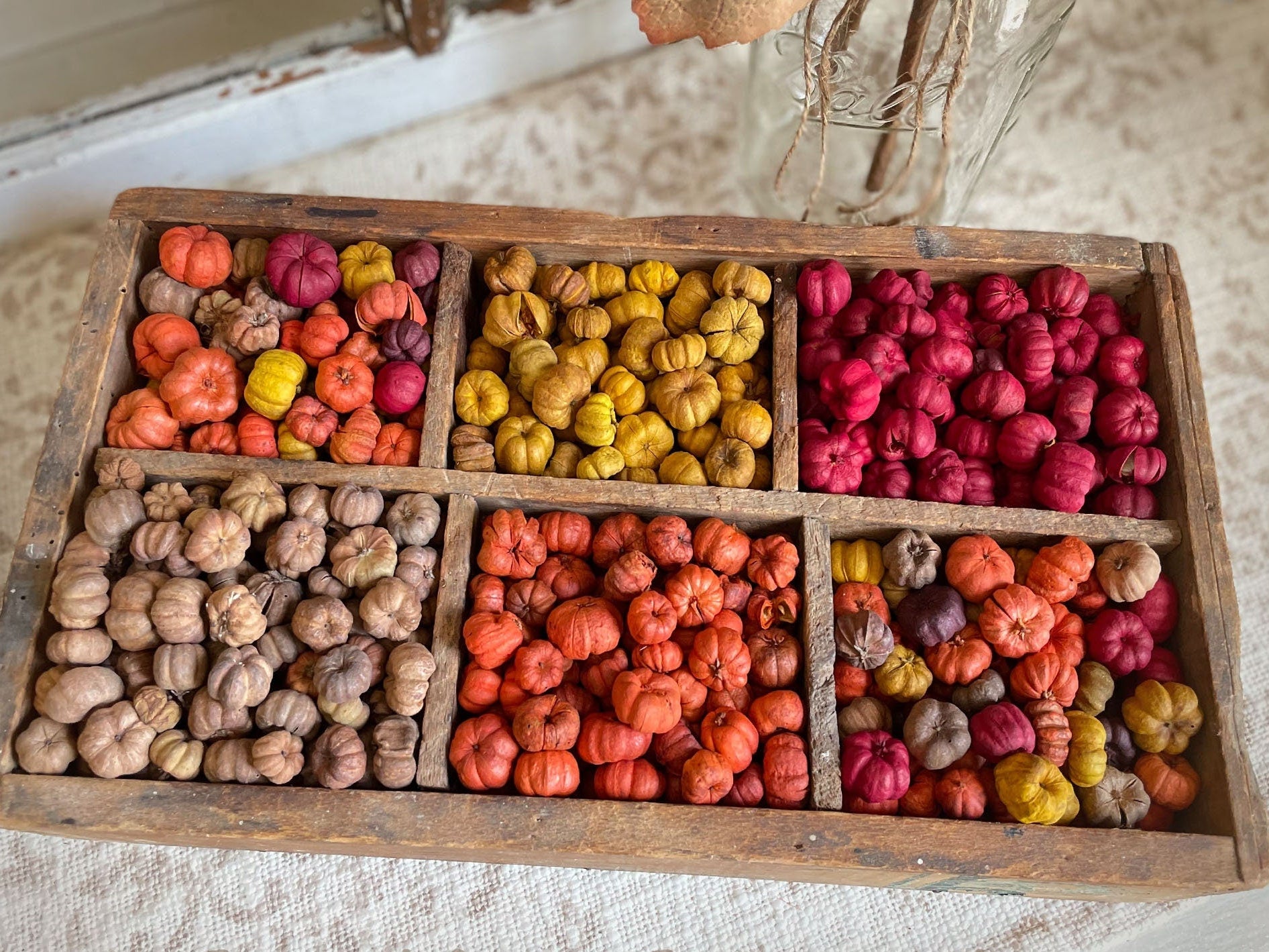 Wooden box with compartments filled with colorful dried podson a textured surface.