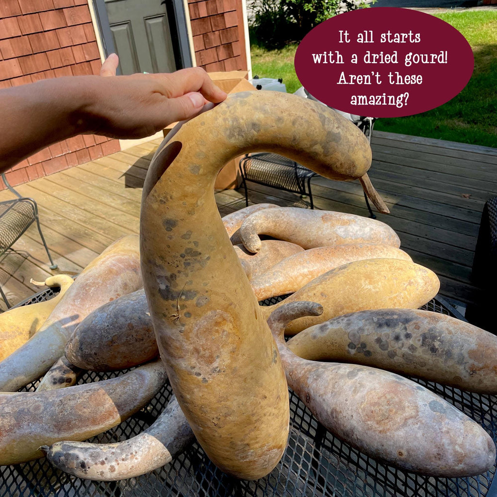 Large dried gourds on a metal rack with a person's hand holding one, outdoors.