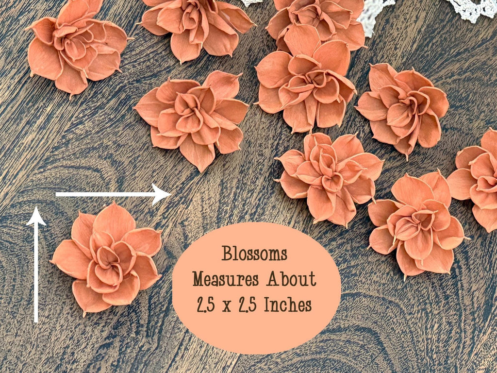 Peach-colored flowers on a textured surface with measurement label