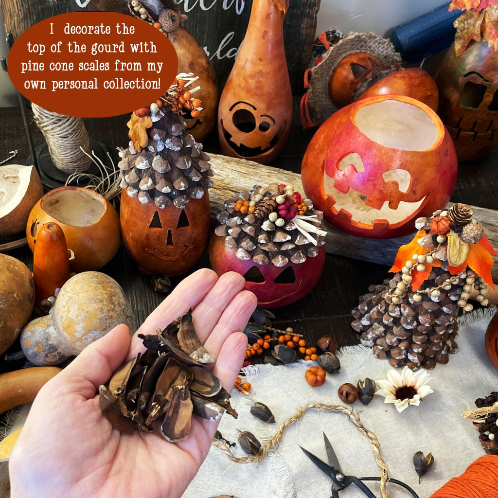 Decorative pumpkins and gourds with pine cone decorations on a table.
