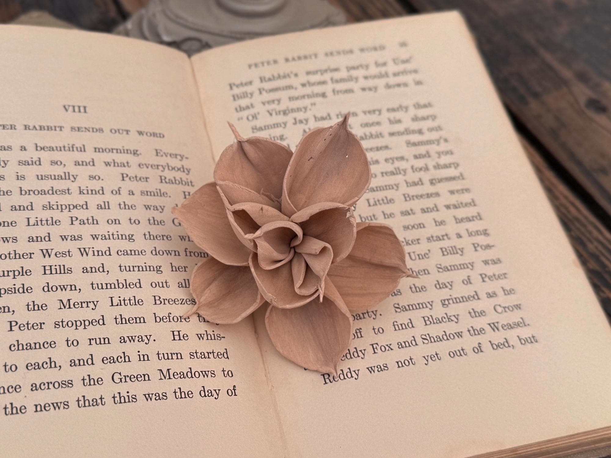Brown flower on an open book