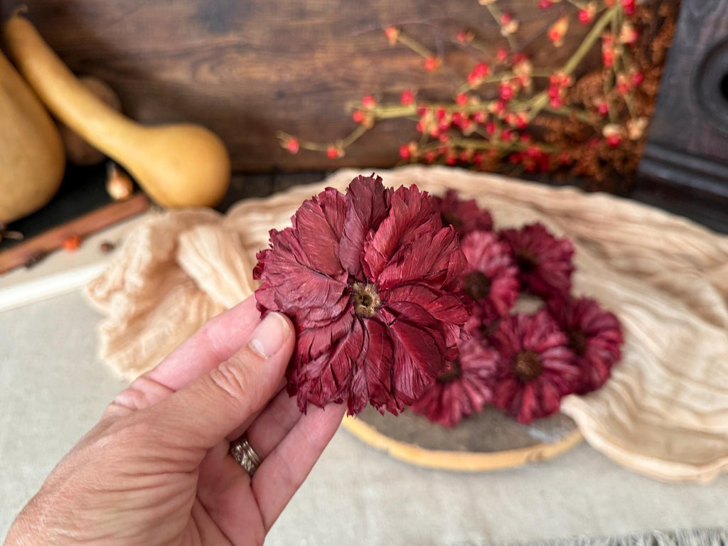 Dried red flower held by a hand with a rustic background