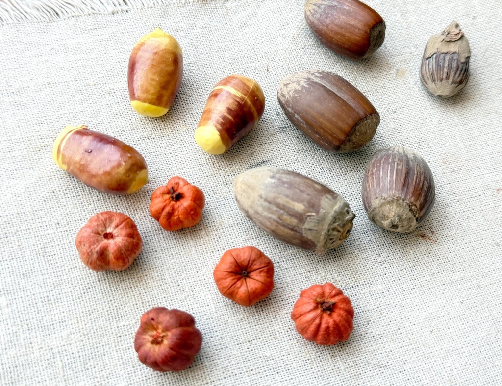 Collection of acorns and small fruits on a textured fabric background