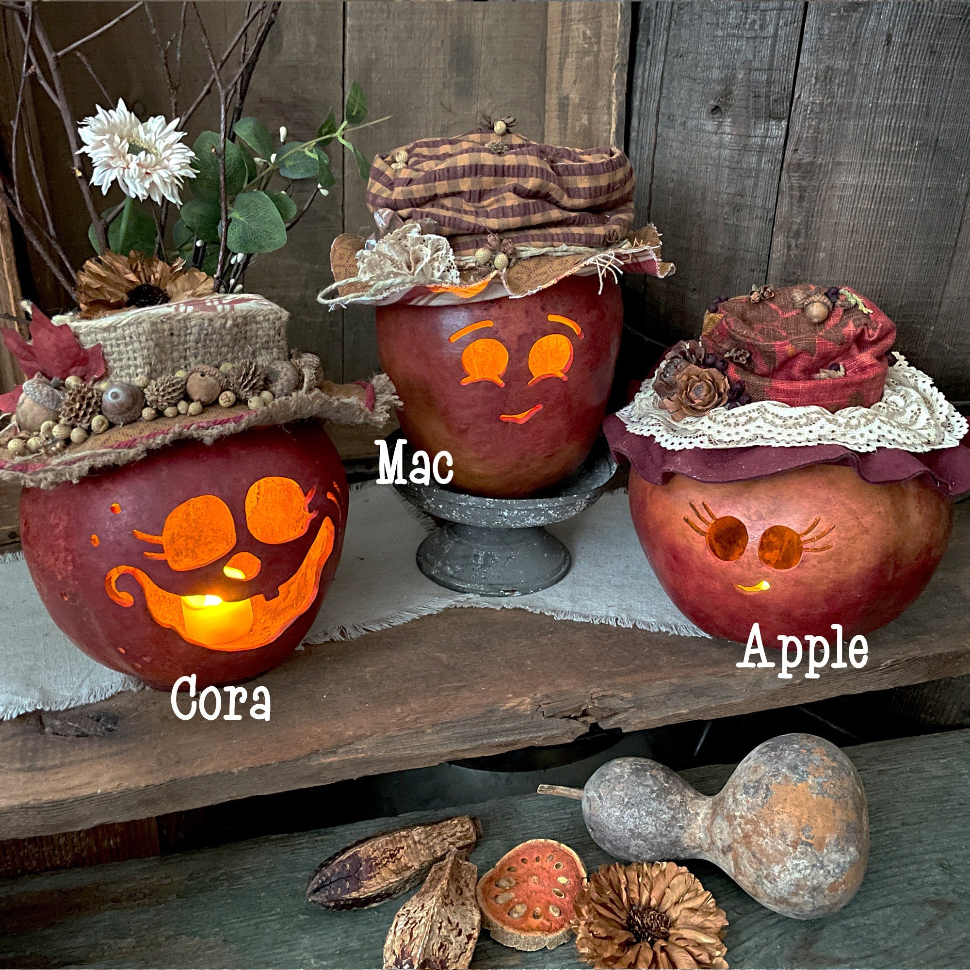 Three decorated pumpkins labeled 'Cora', 'Mac', and 'Apple' on a rustic wooden surface with gourds and flowers.