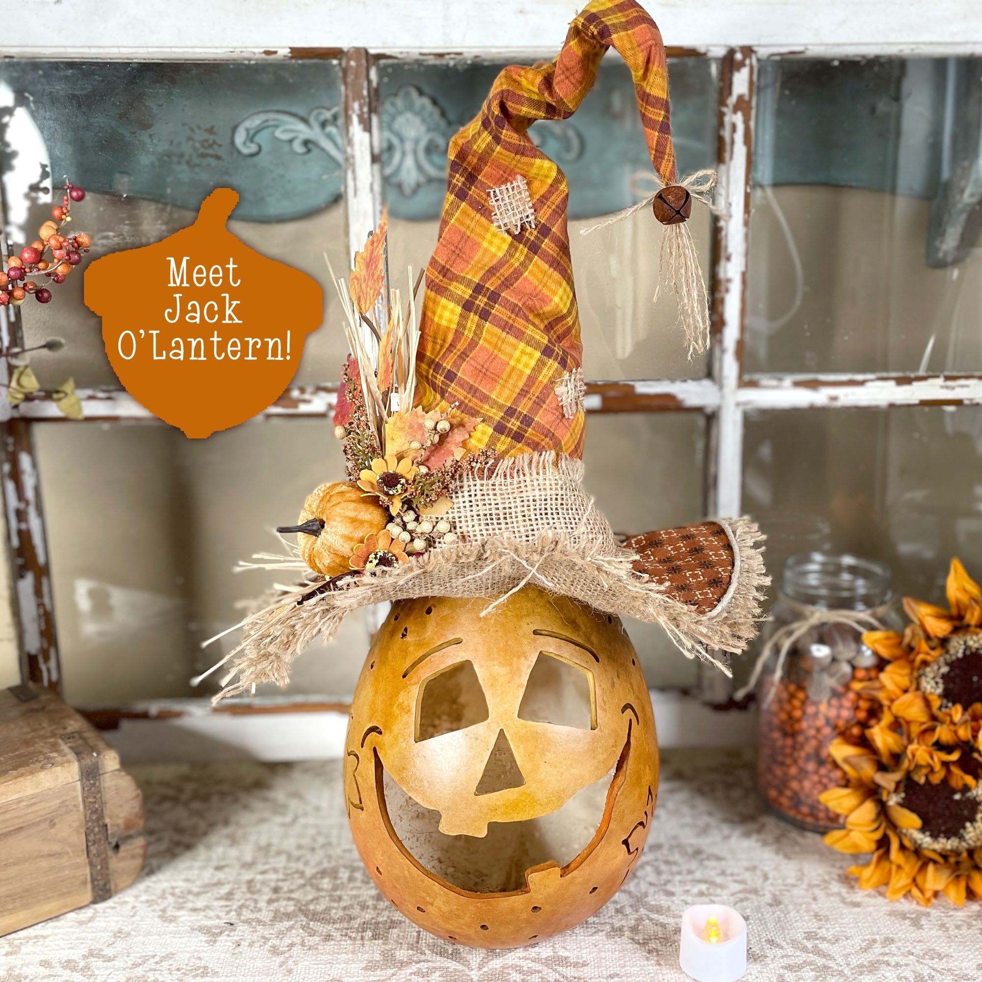 Decorative pumpkin with a face and plaid hat on a rustic surface, with text 'Meet Jack O'Lantern' in the background.