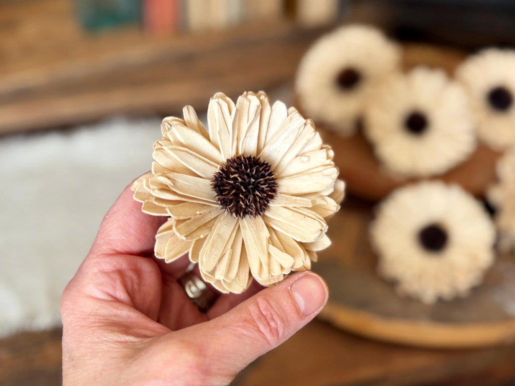 Hand holding a beige flower with blurred background of similar flowers on a wooden surface