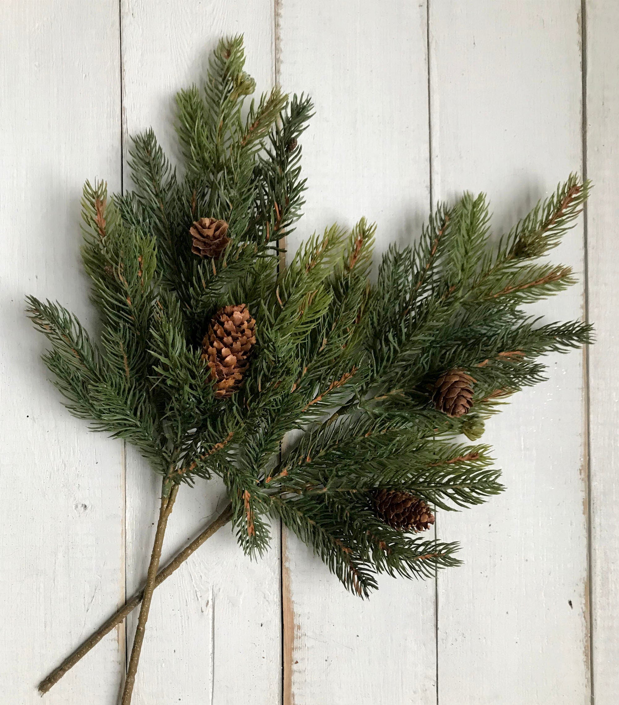 Green pine branches with pinecones on a white wooden background