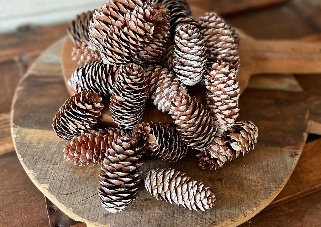 Collection of pinecones on a wooden surface with 'boutiquebarn.net' branding.