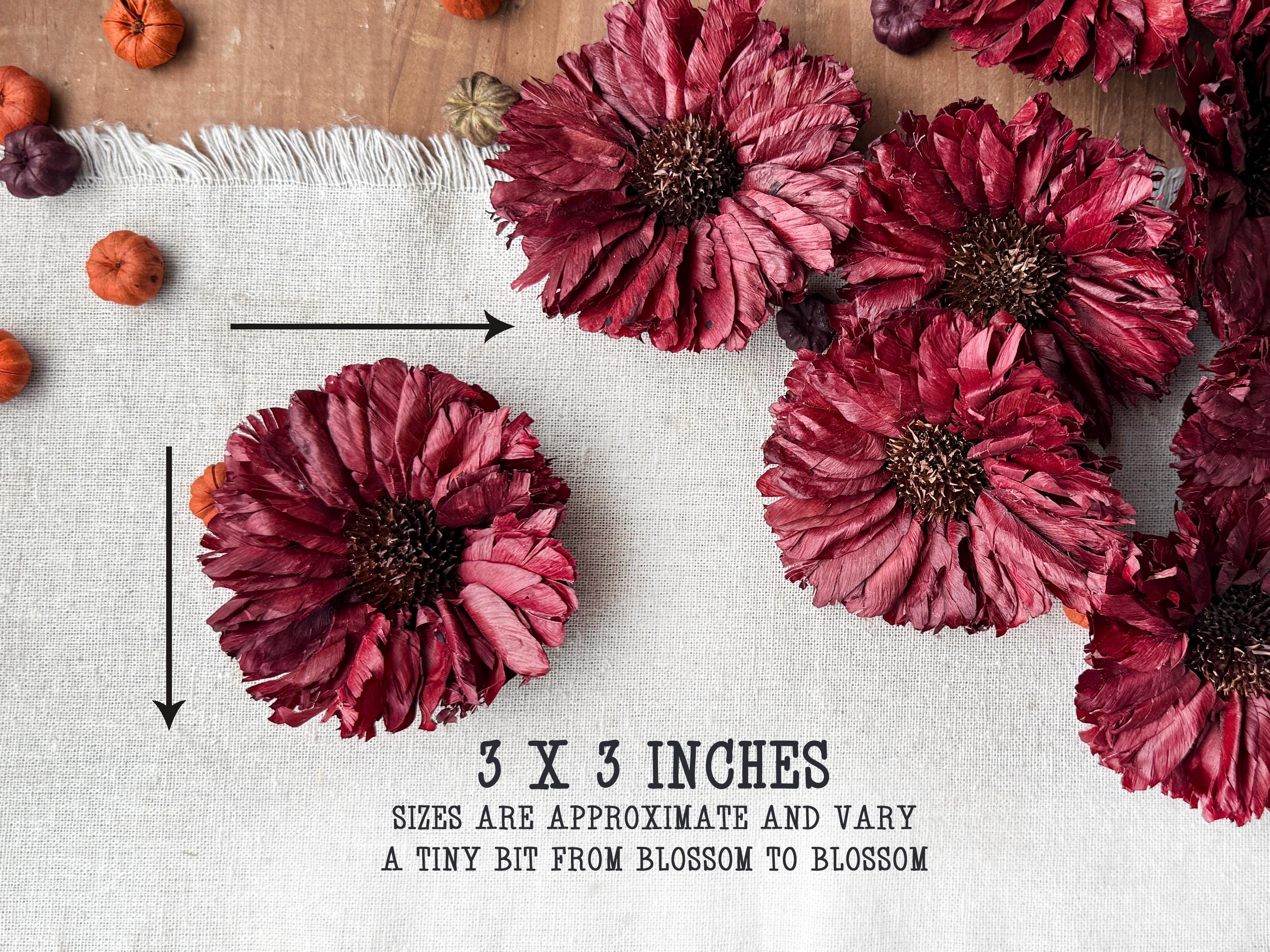 Burgundy flowers on a textured surface with size indication text.
