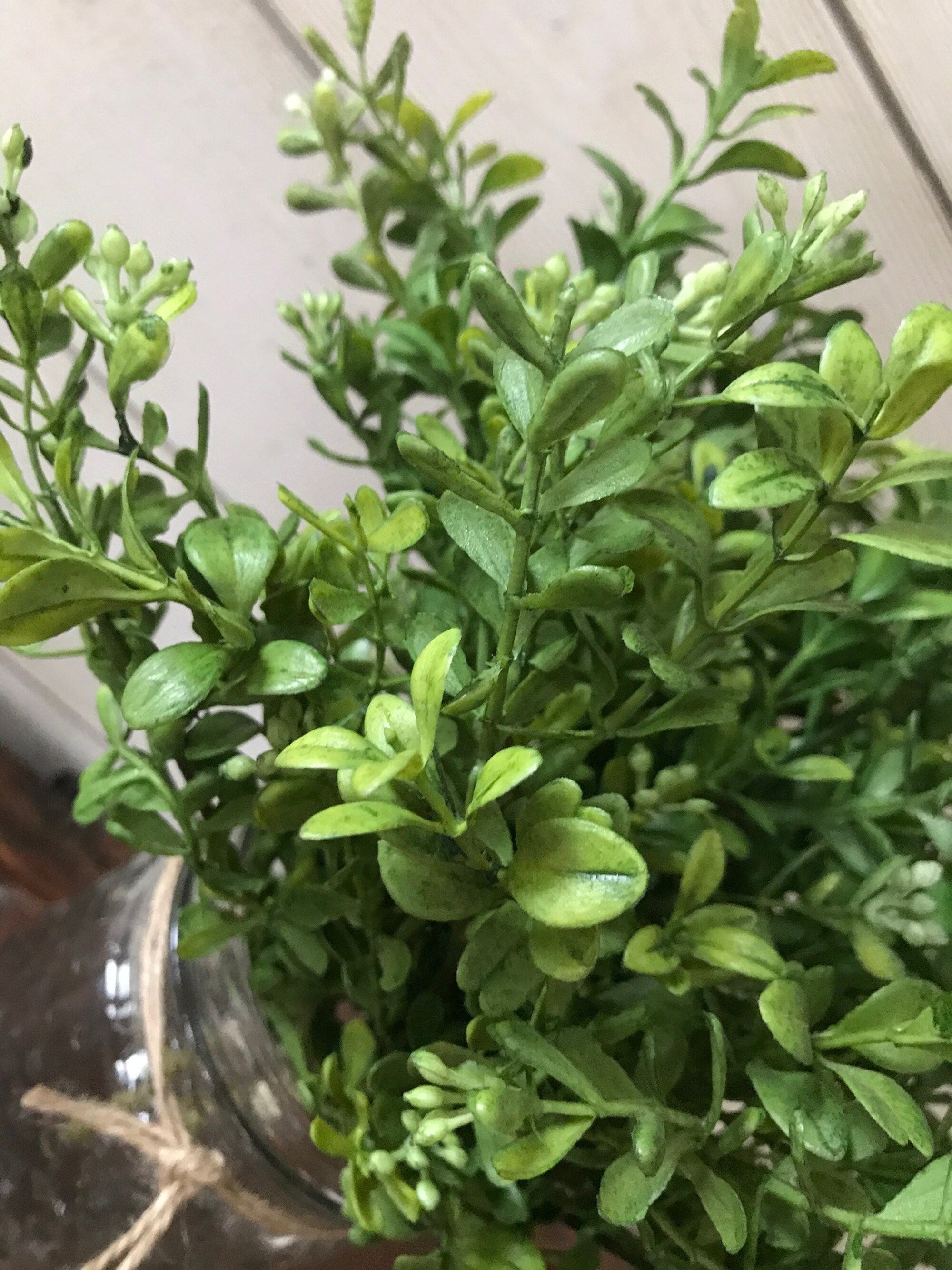 Artificial Boxwood Spray – Rustic Greenery for Vases & Centerpieces