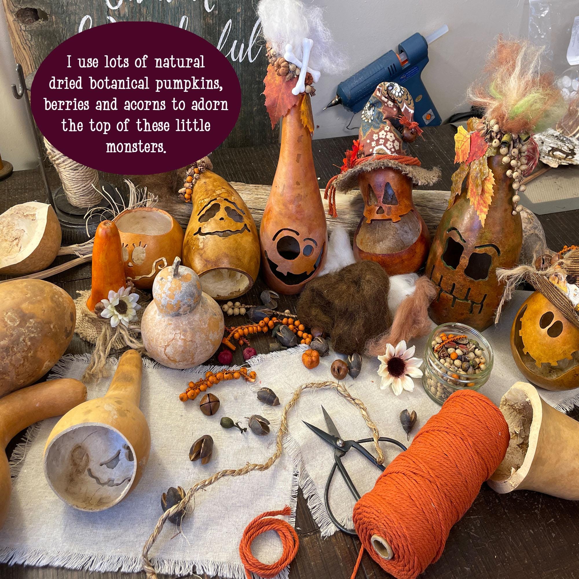 Decorative gourds and craft materials on a table with text overlay.
