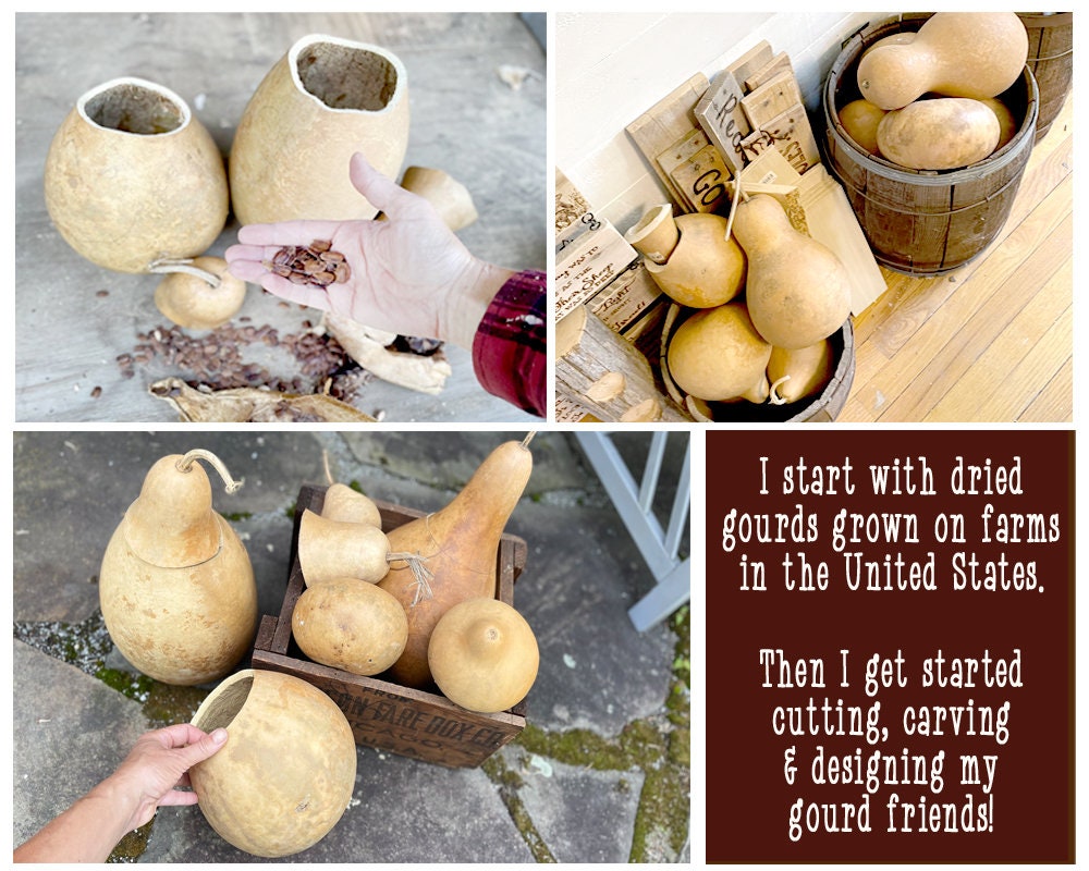 Collage of dried gourds in various settings with a text overlay about gourd harvesting and crafting.