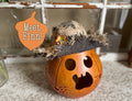 Decorative pumpkin with a scarecrow hat on a textured surface, with 'Meet Finn!' text overlay.