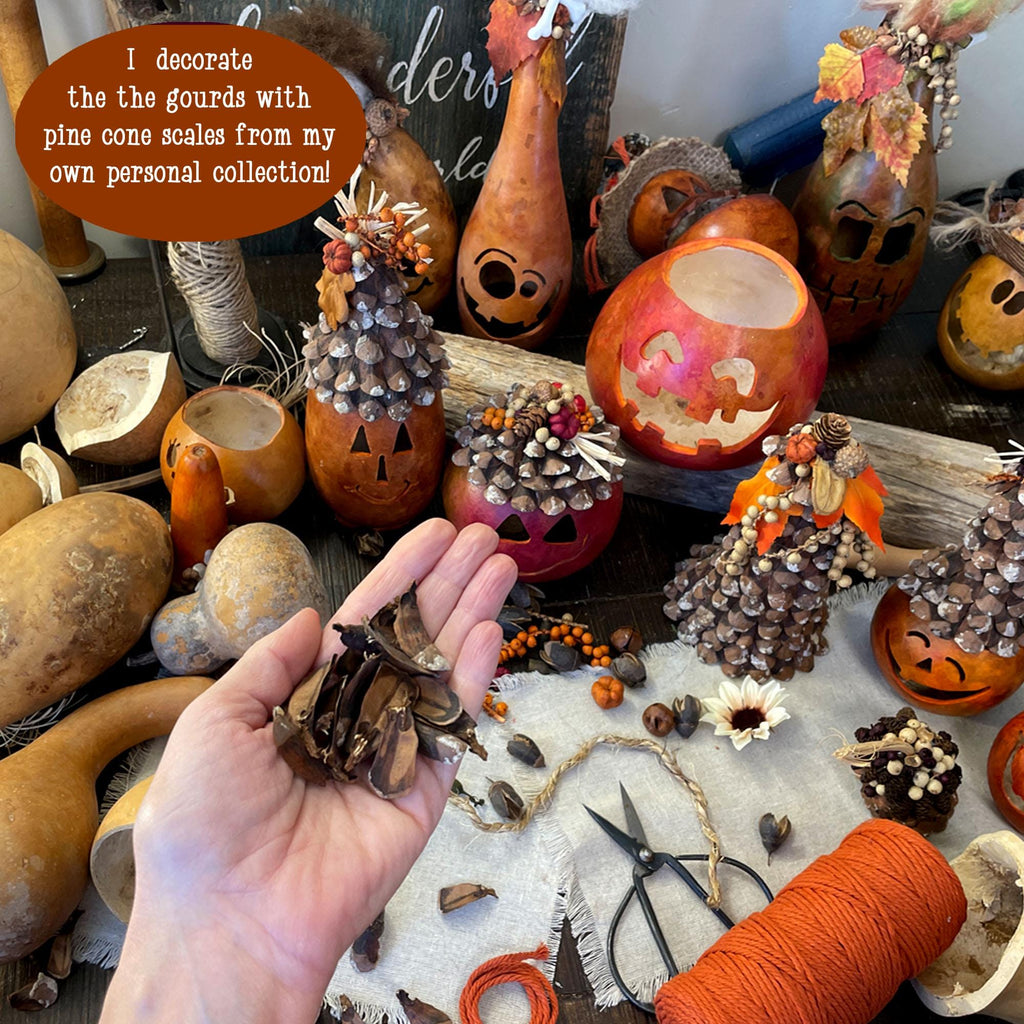 Decorative gourds and pine cones with a hand holding pine cones, surrounded by Halloween-themed decorations.