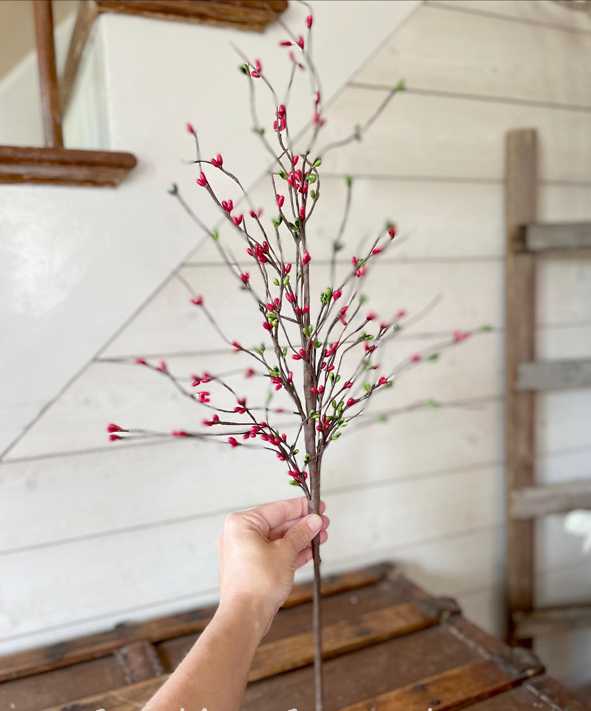 Hand holding a branch with red buds against a white wall.