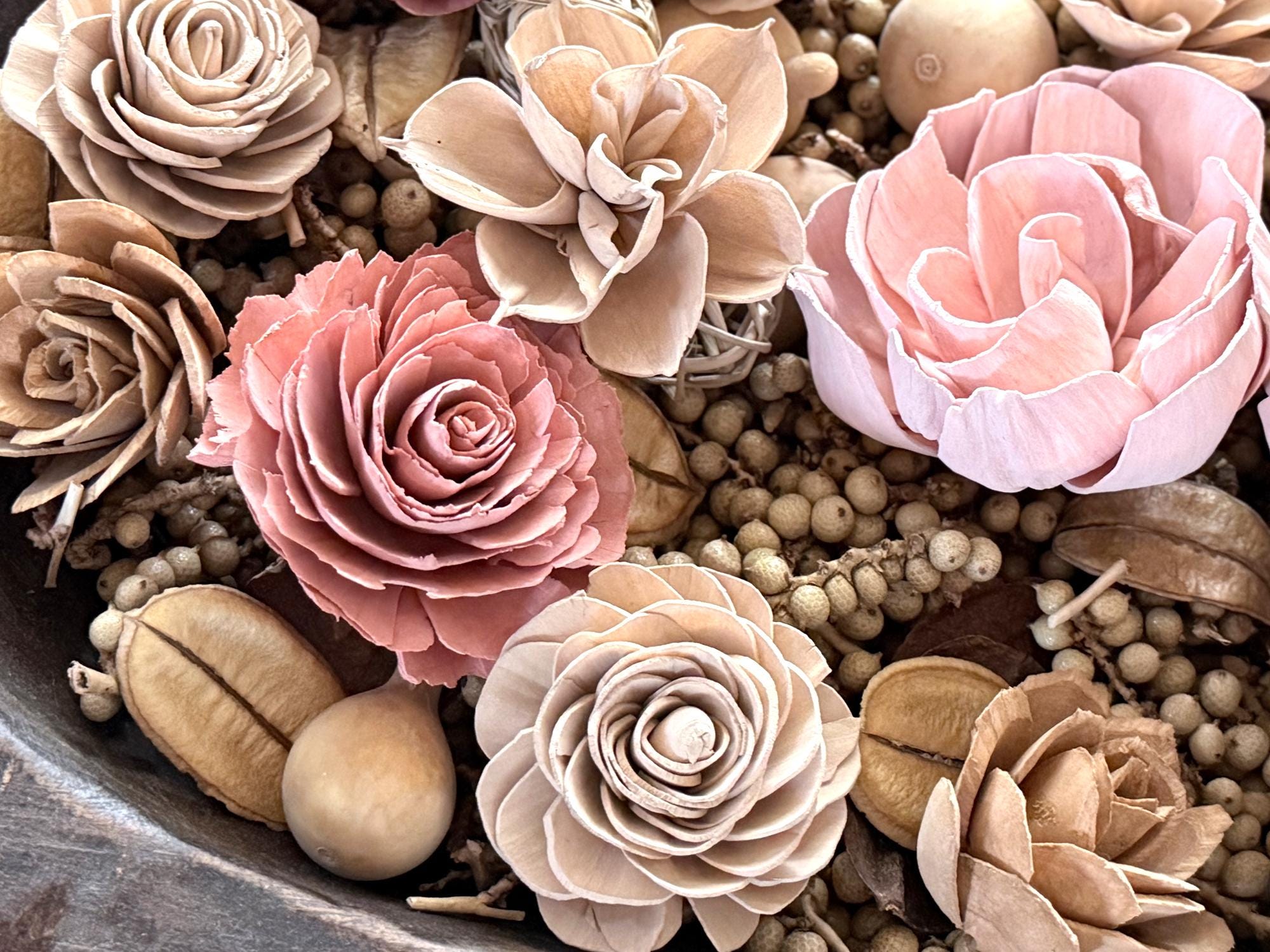 Close-up of pink and beige wood flowers with a blurred background