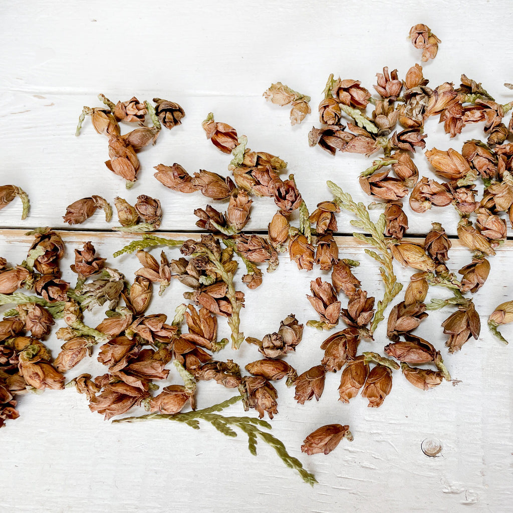 Dried brown flowers on a white wooden surface