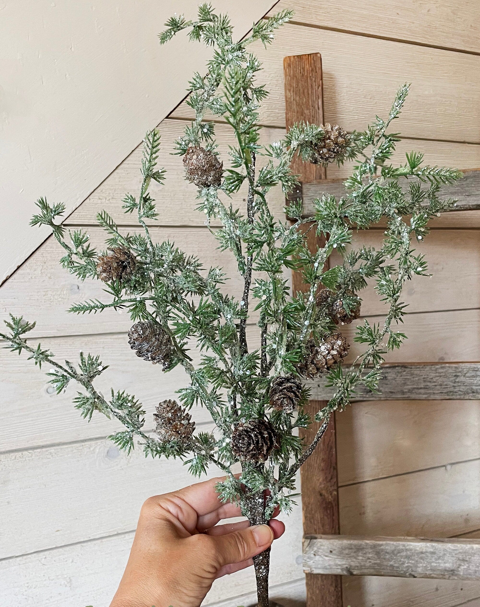 Hand holding a iced winter branch with green leaves and pinecones against a wooden background