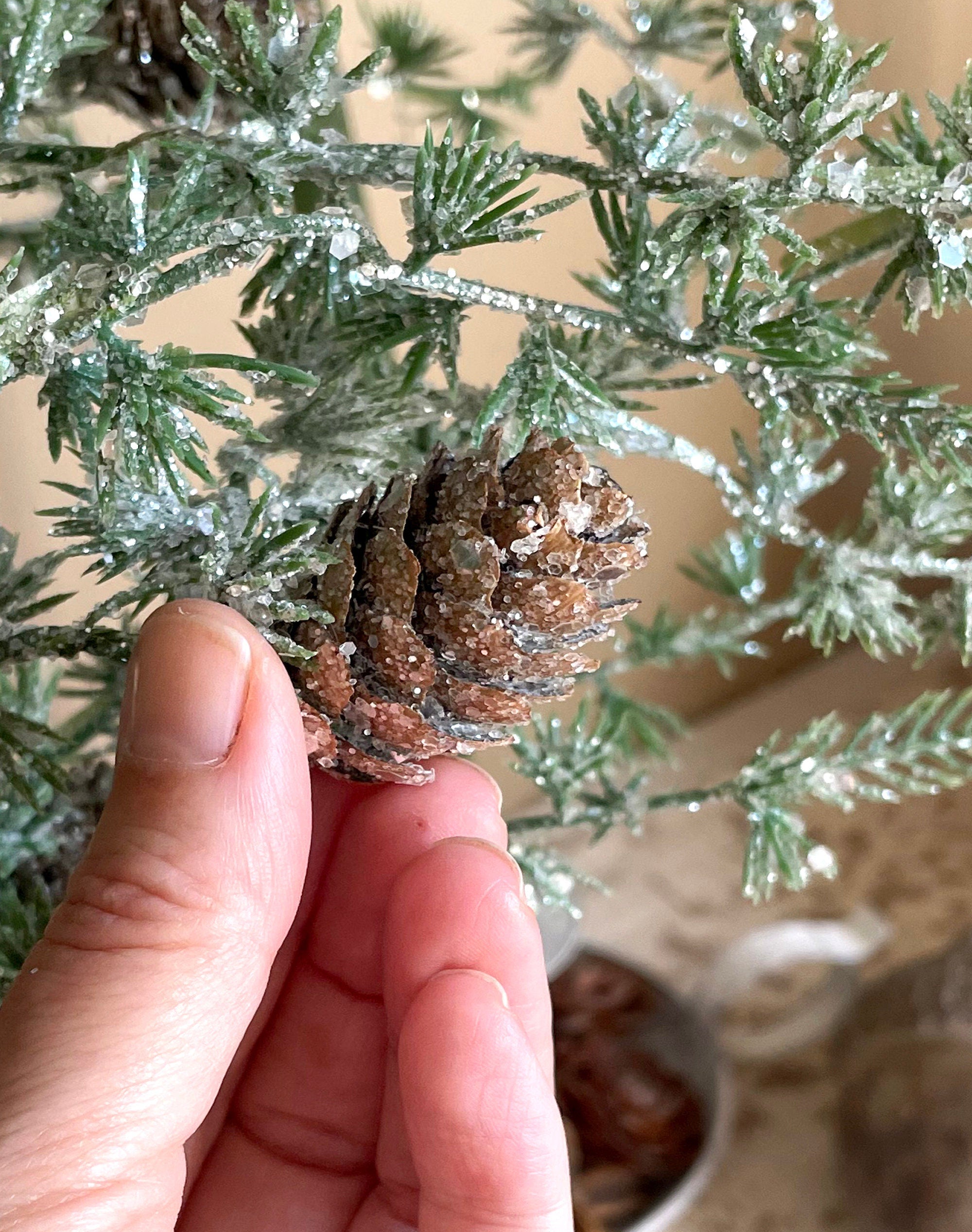 Hand holding a pine cone in front of a decorative evergreen branch with pinecones.