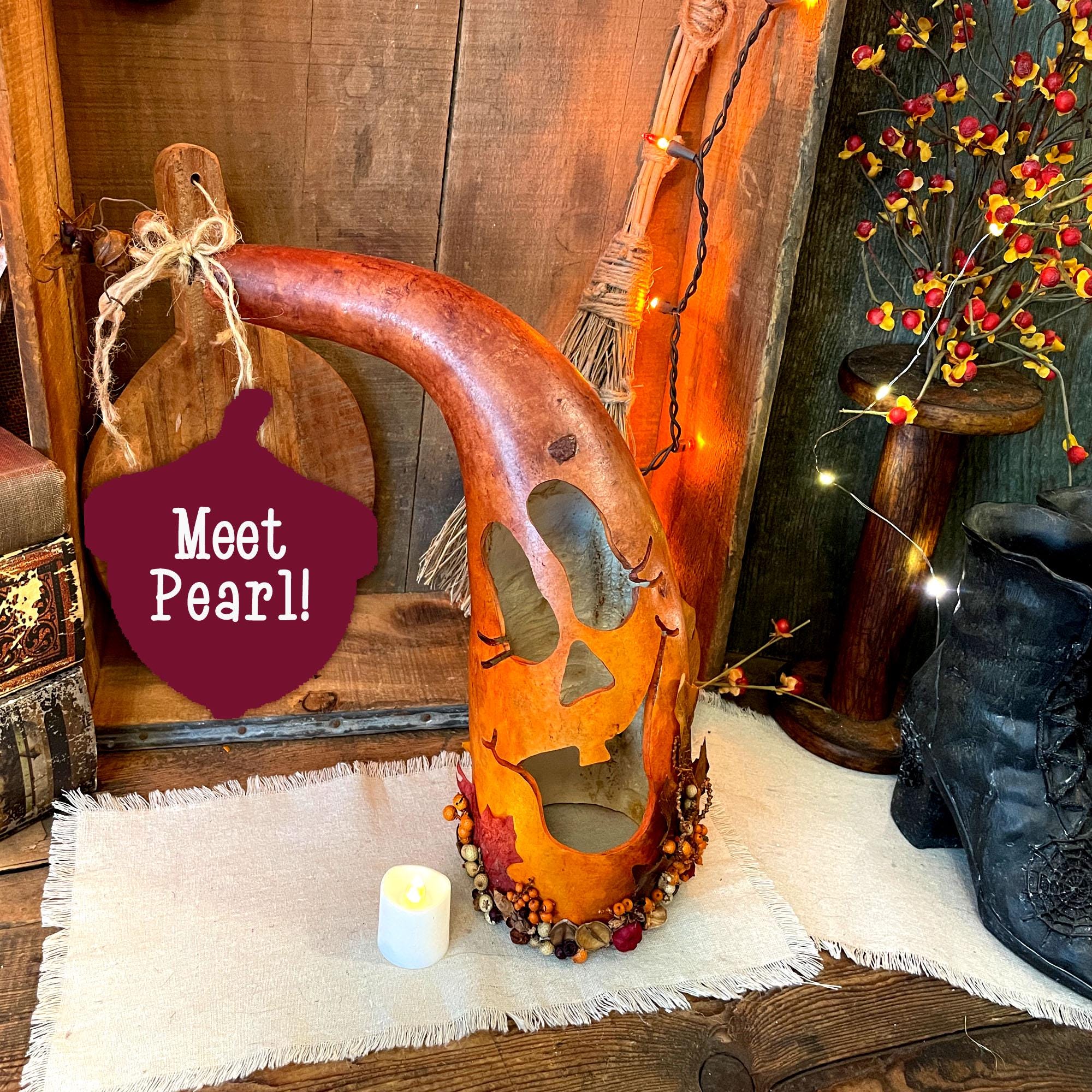 Pearl – Whimsical Hand Carved Pumpkin Gourd with Candle Light