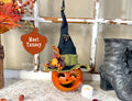 Decorative Halloween pumpkin with witch hat and autumn leaves on a rustic surface.