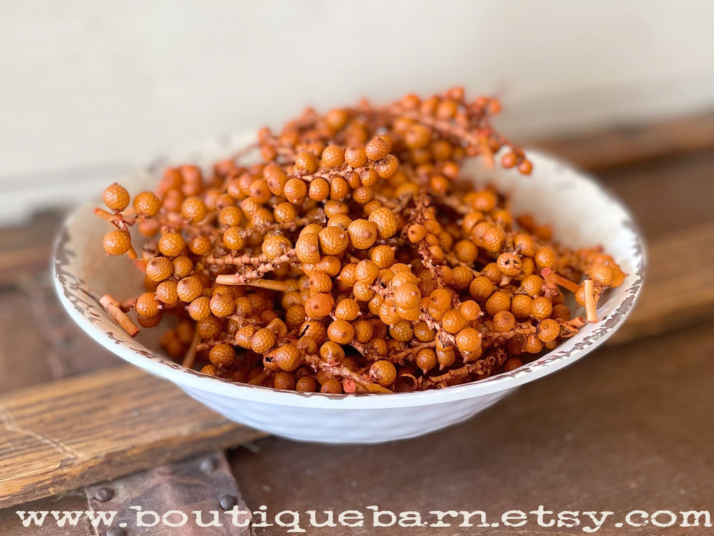 Dried Cannella Berries – Orange Fall Bowl Decor Botanicals