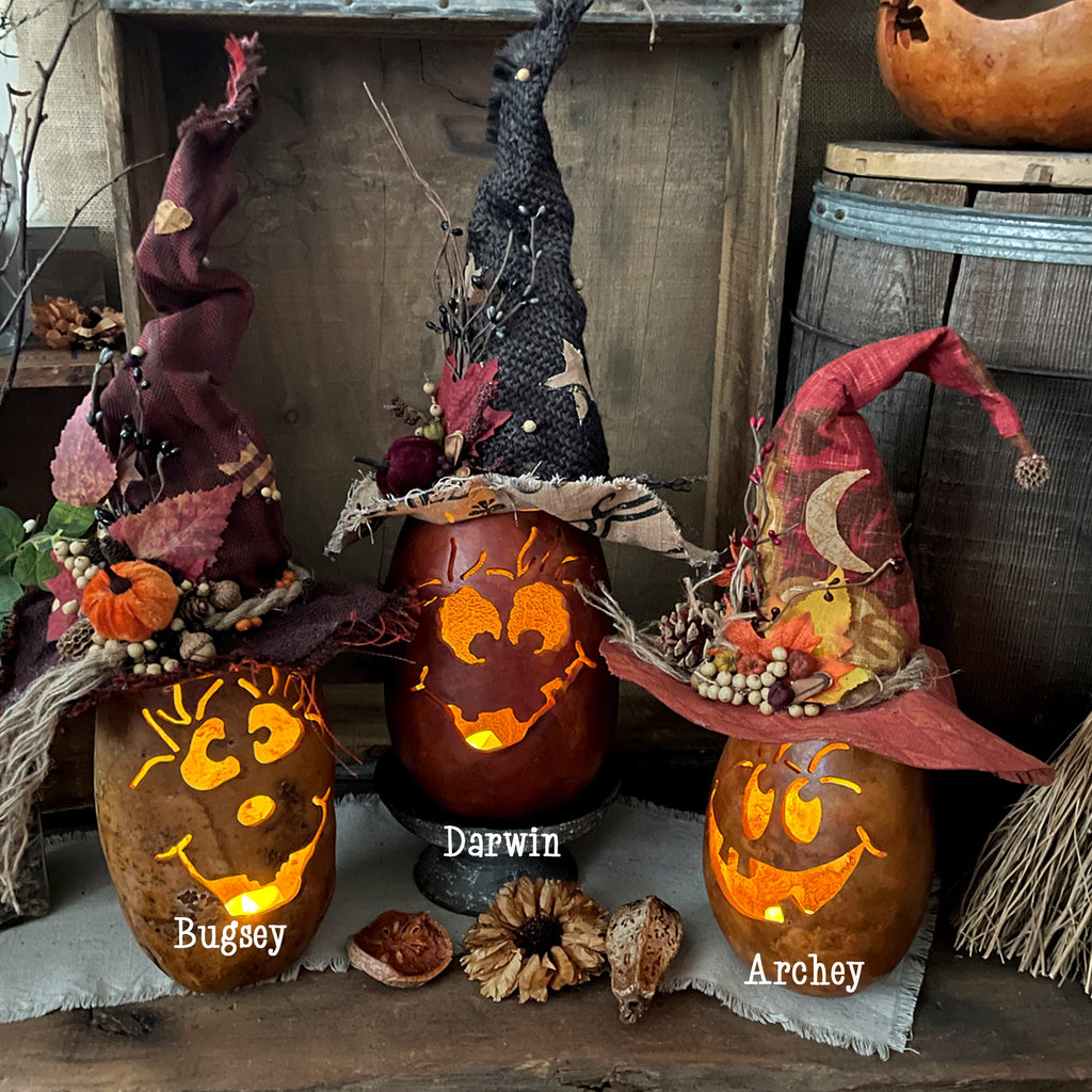 Three carved pumpkins with witch hats on a rustic wooden surface, featuring names 'Bugsy', 'Darwin', and 'Archey'.