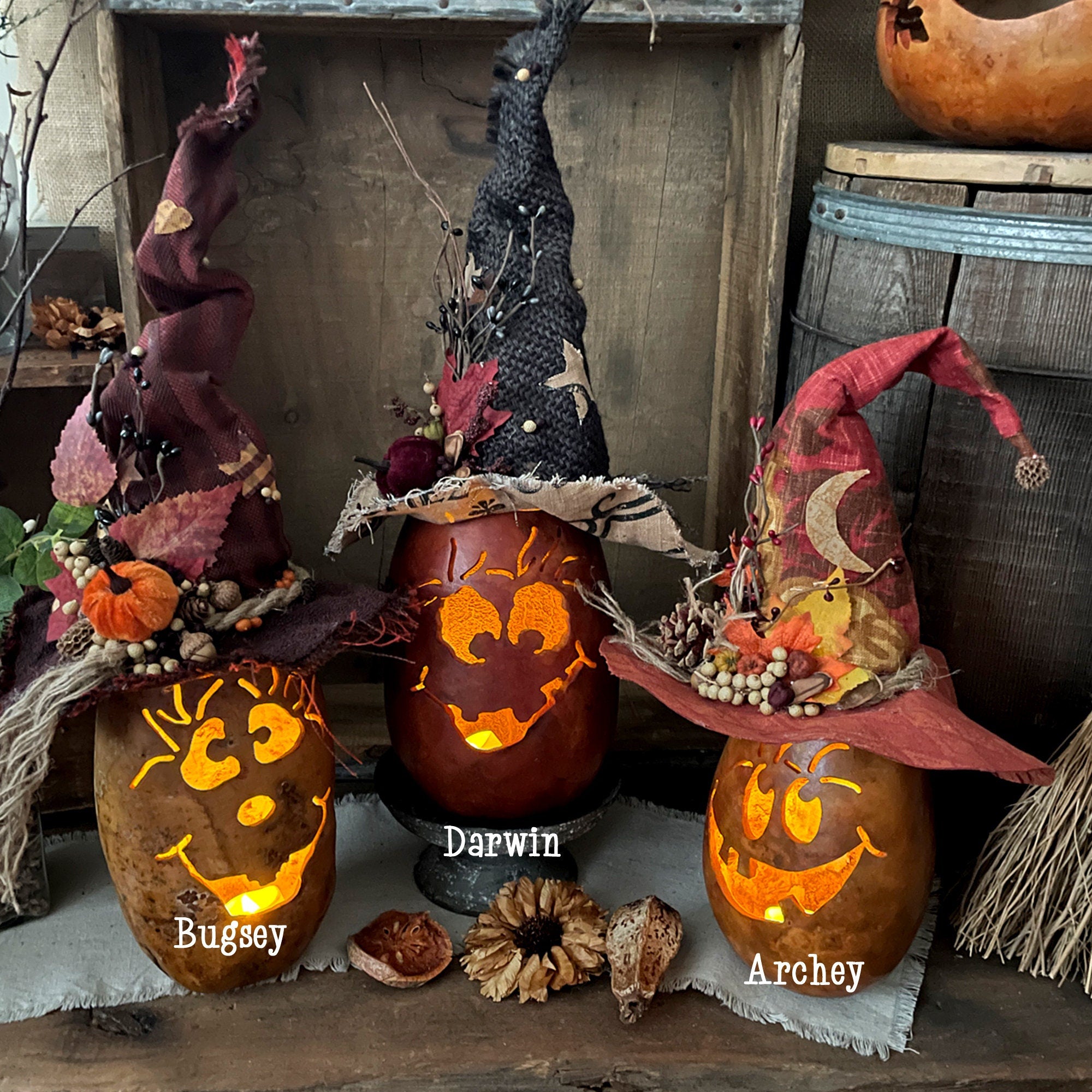 Three carved pumpkins with witch hats on a rustic wooden surface, featuring names 'Bugsy', 'Darwin', and 'Archey'.