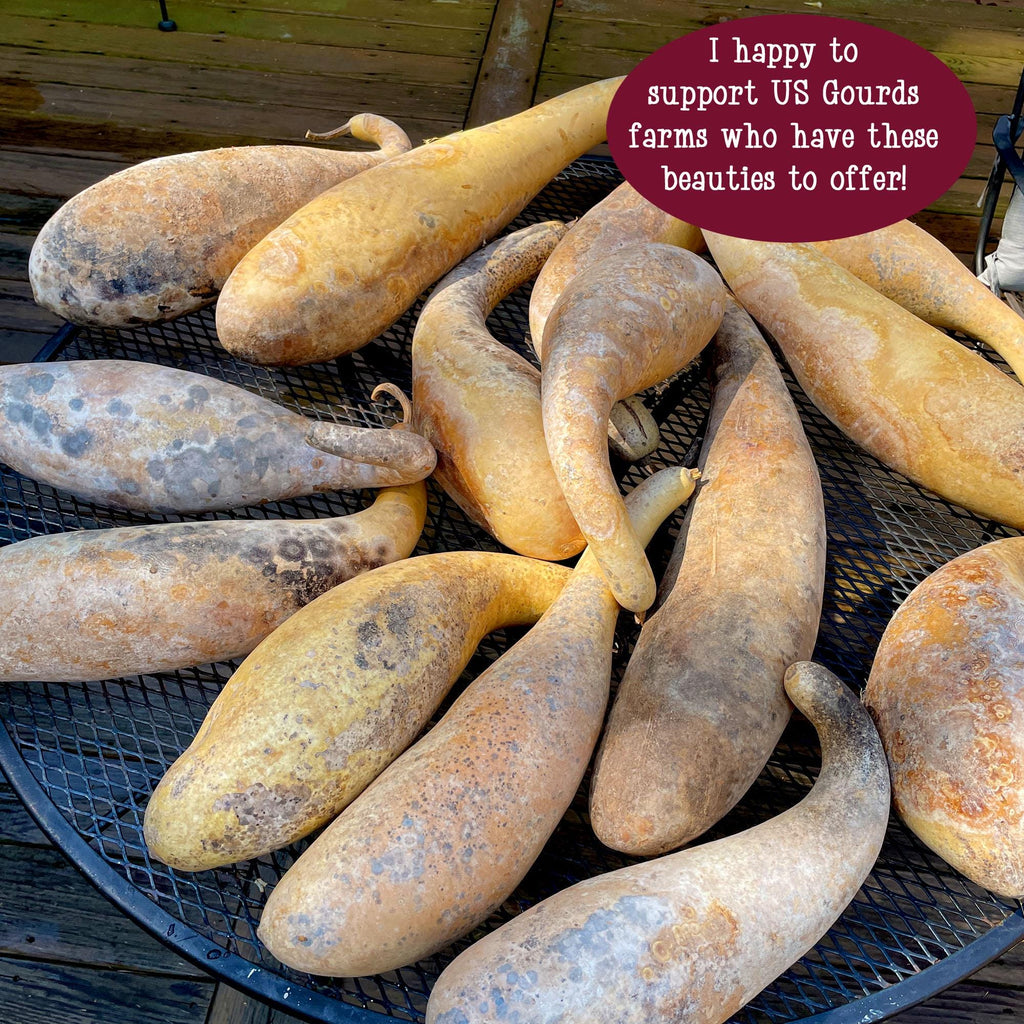 Collection of gourds on a metal tray with a text overlay about supporting US gourd farmers.