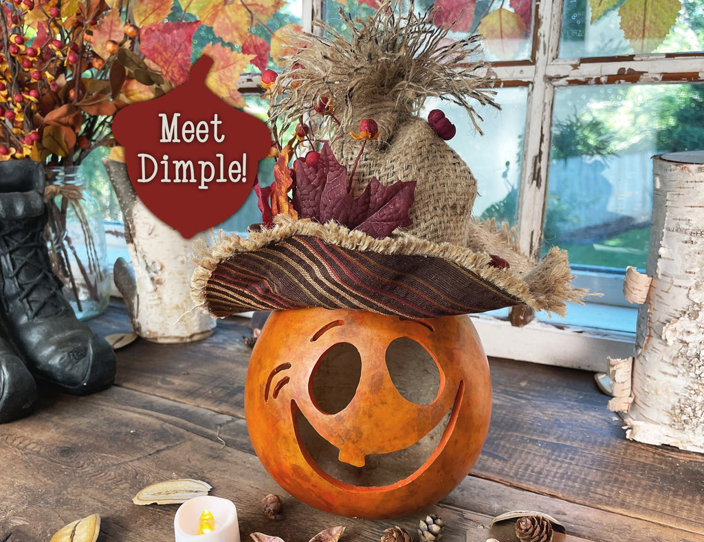 Decorative pumpkin with a hat and 'Meet Dimple!' sign on a rustic wooden surface.
