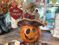Decorative pumpkin with a hat and 'Meet Dimple!' sign on a rustic wooden surface.