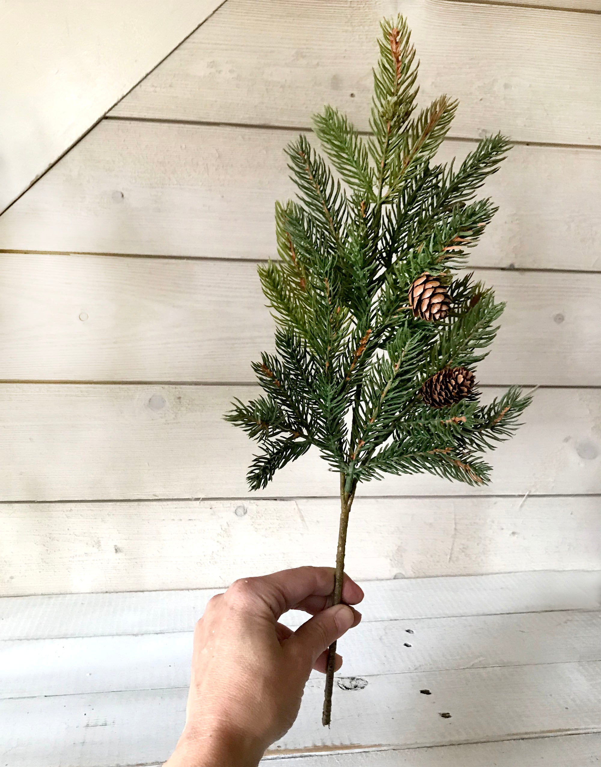 Hand holding a small branch with green leaves and pinecones on a wooden surface