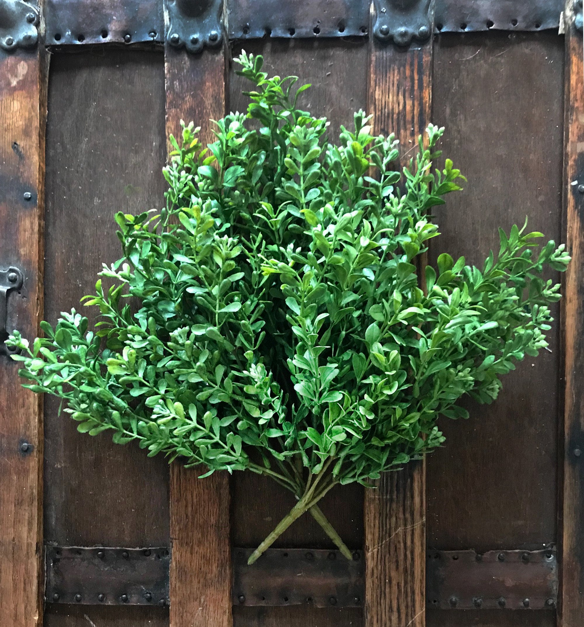 Artificial Boxwood Spray – Rustic Greenery for Vases & Centerpieces