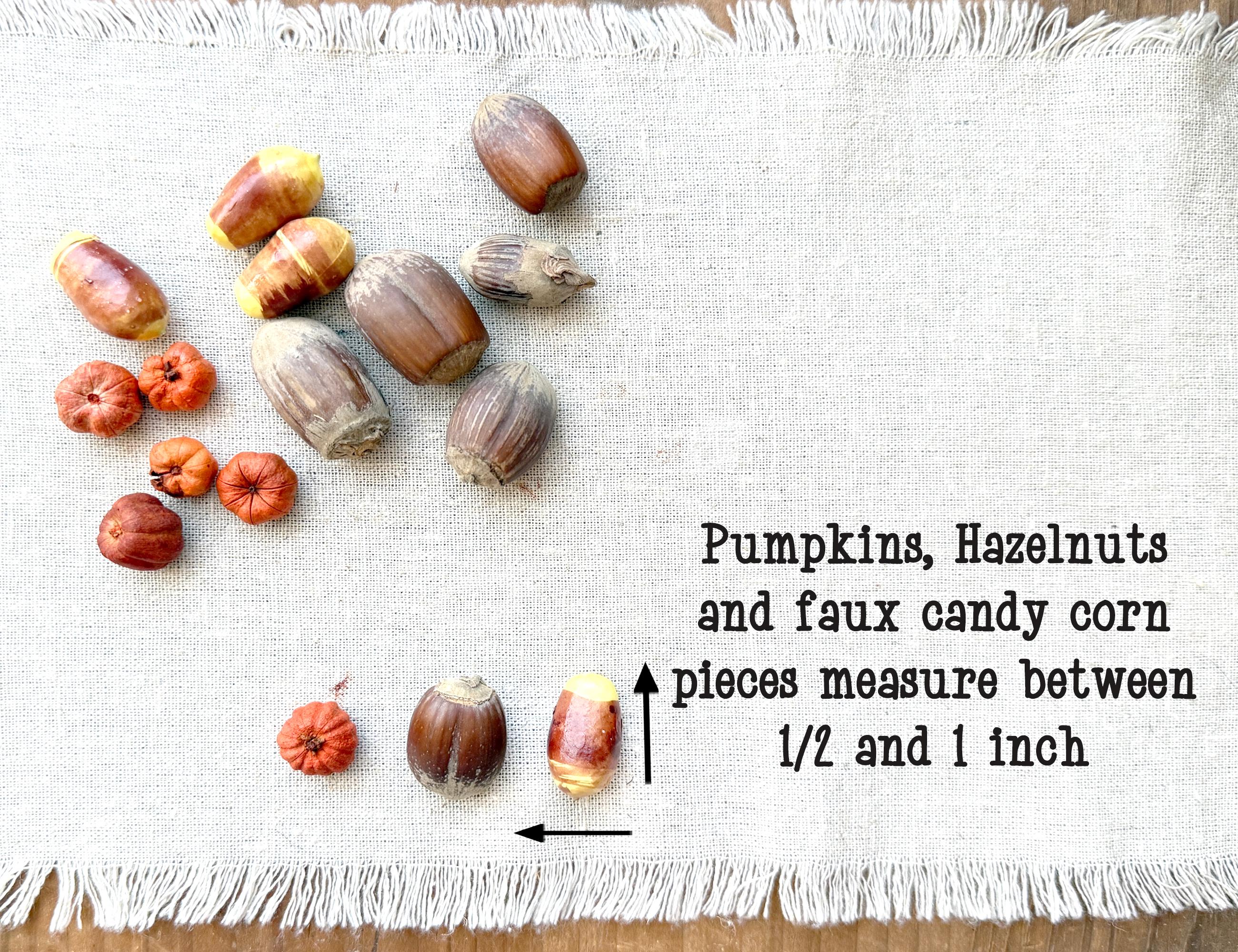 Assorted pumpkins, hazelnuts, and candy corn pieces on a textured white surface with text indicating measurements.