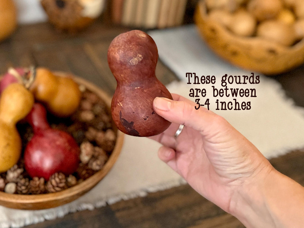 Mini Dried Gourds – Rustic Fall Table & Bowl Accents – Boutique Barn