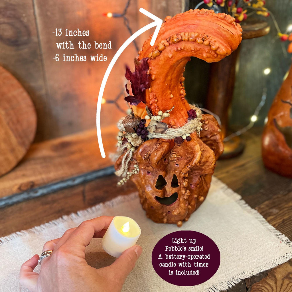 Unusual Halloween Pumpkin Decor With Candle, Fall Gourd, Autumn table decoration, Nature Inspired Decor, Unique fall collectible gourd gift