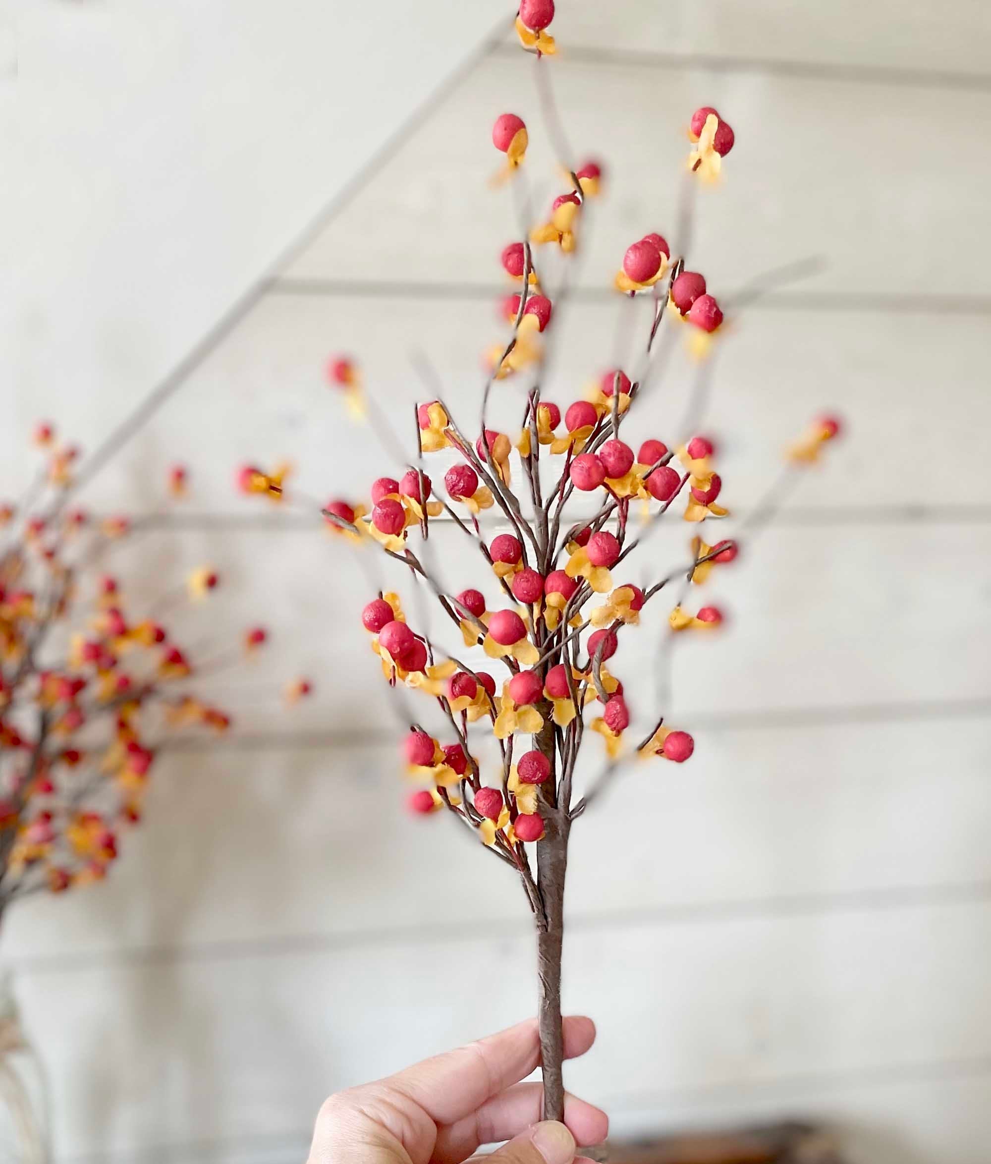 Decorative branch with red and yellow berries held by a hand against a neutral background.