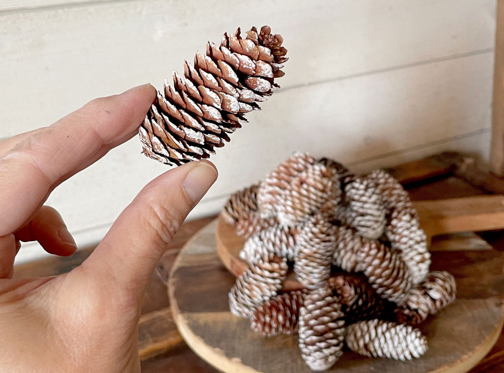 Decorative white pinecones on a wooden surface with a hand holding one above.