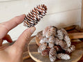 Decorative white pinecones on a wooden surface with a hand holding one above.